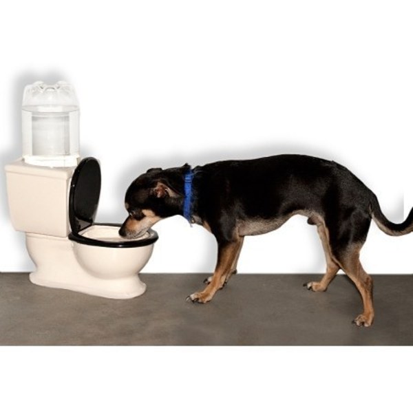 amazing pet gifts amazing pet gifts