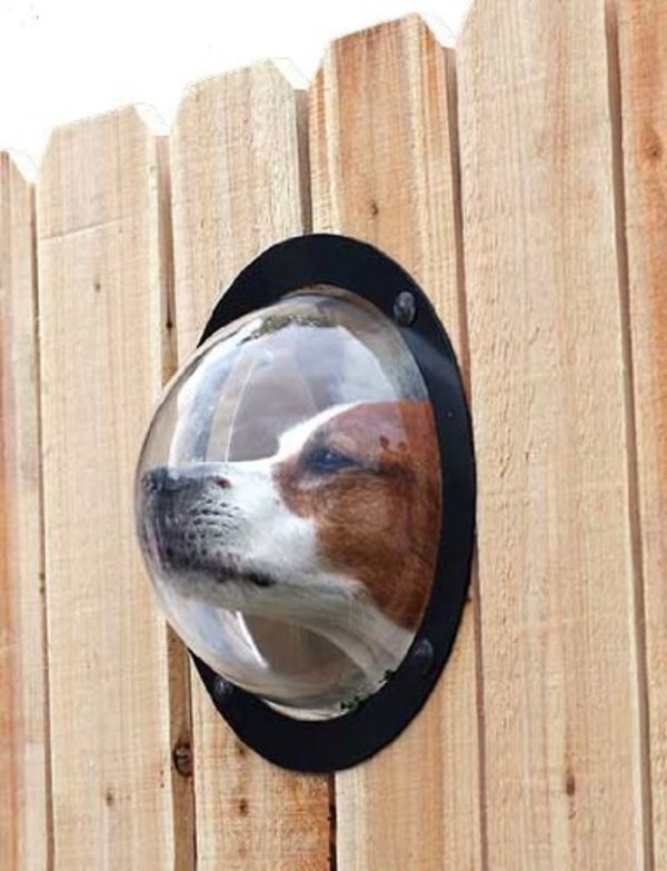 amazing pet gifts amazing pet gifts
