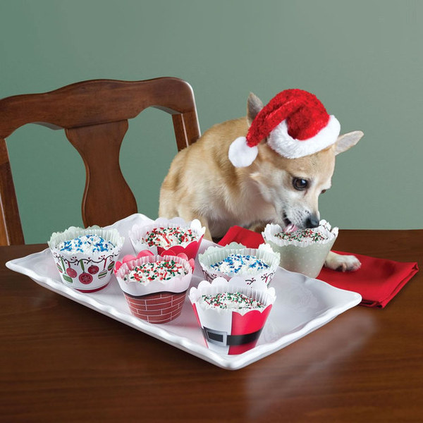 amazing pet gifts amazing pet gifts