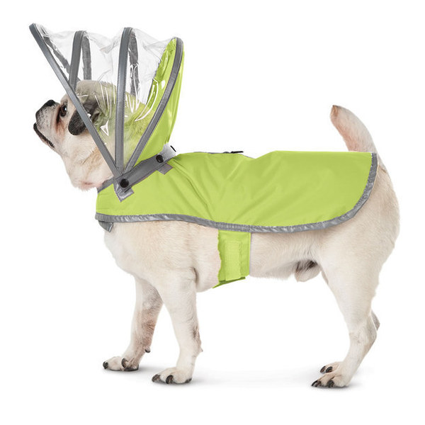 amazing pet gifts amazing pet gifts