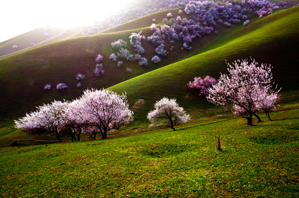 beautiful places to kiss in new years eve