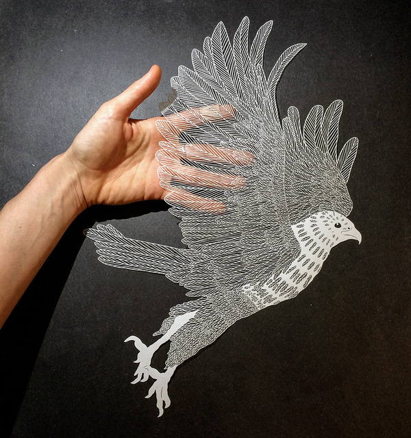 amazing cut paper illustrations