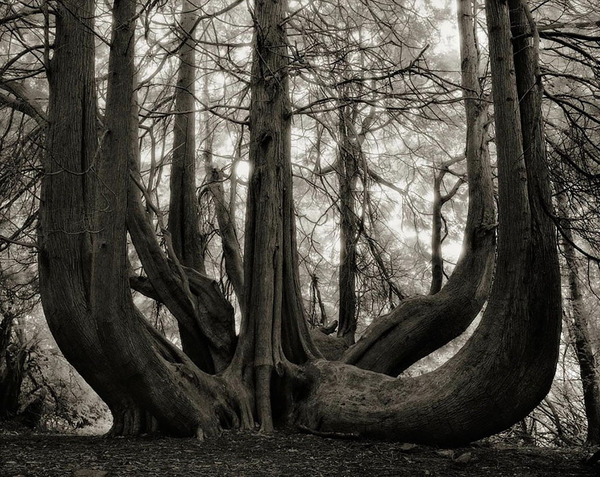 Beth Moon photography