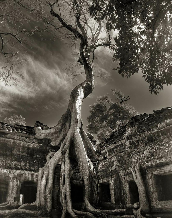 Beth Moon photography