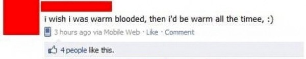 hilarious dumd people hilarious dumd people