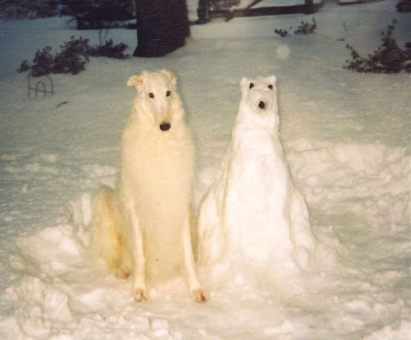 funny snow sculptures