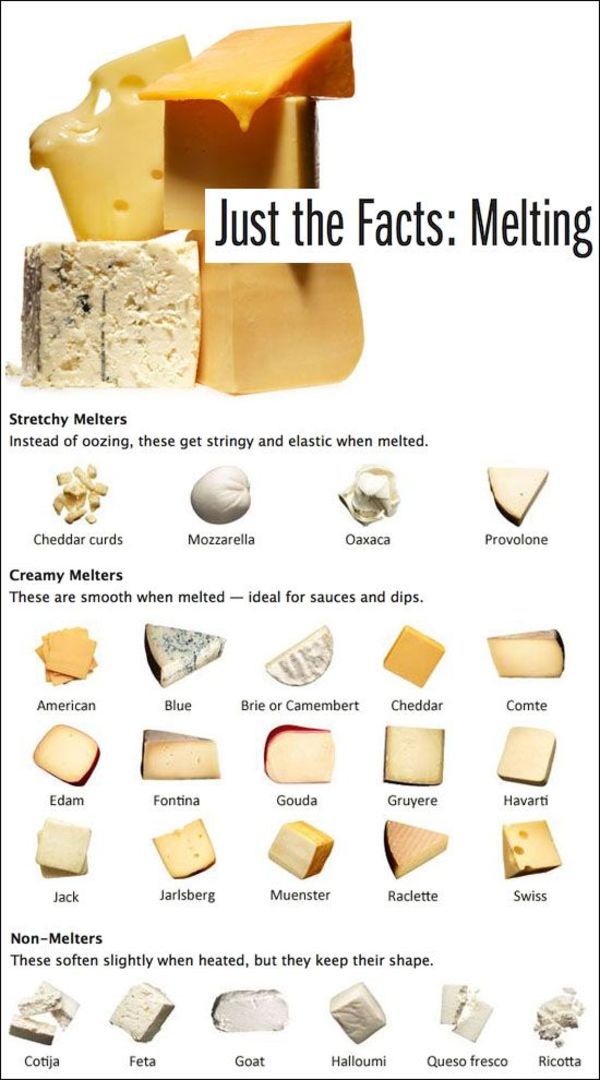 complete cheese guide