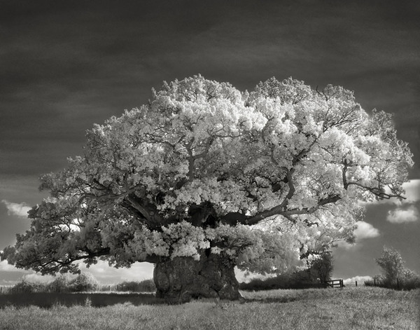 Beth Moon photography