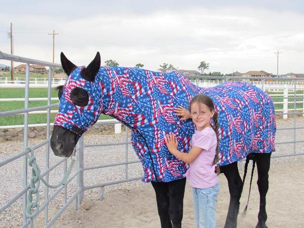 pajamas for horses