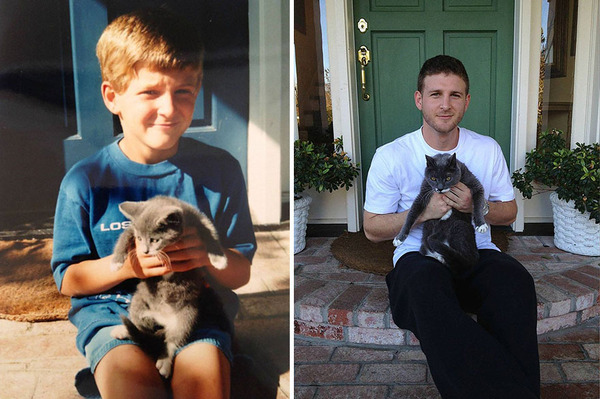 before and after cats before and after cats