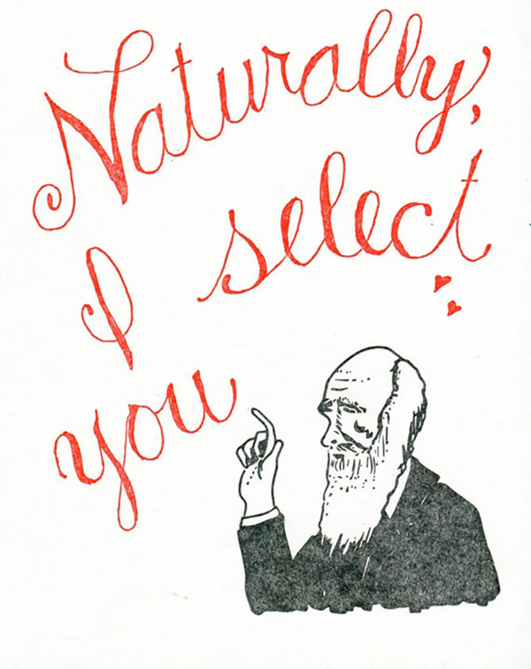 nerdy valentines cards