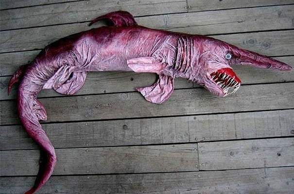 44 Animals No One Knows But Actually Exist