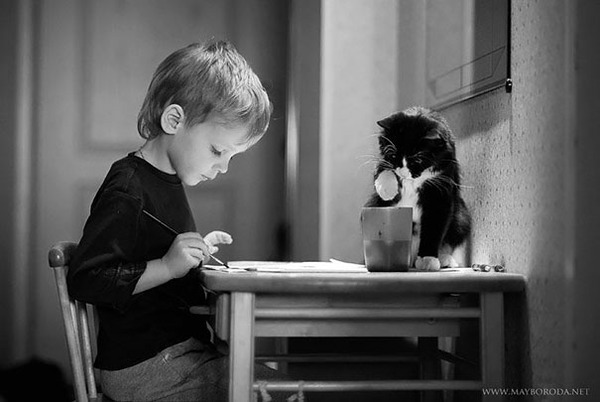 kids and cats together