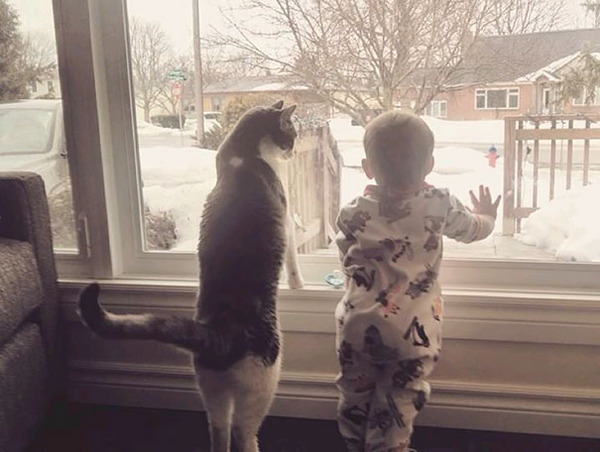 kids and cats together