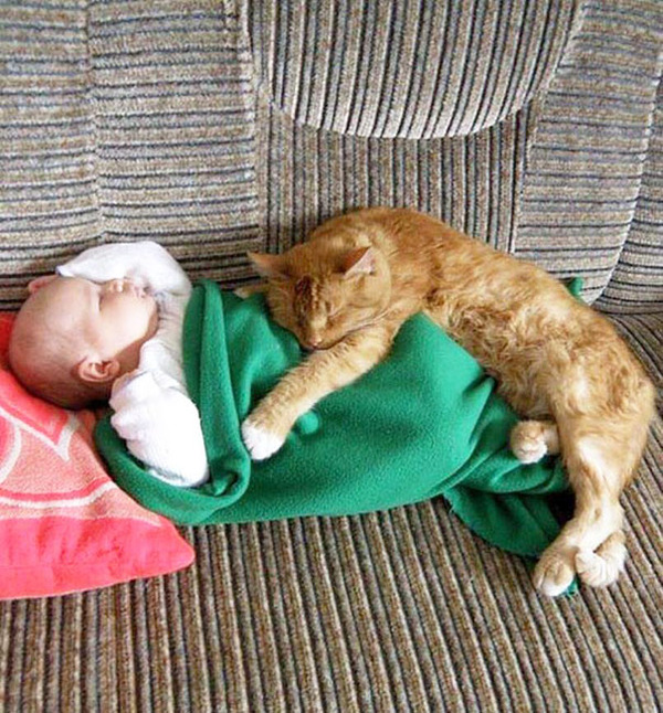 kids and cats together