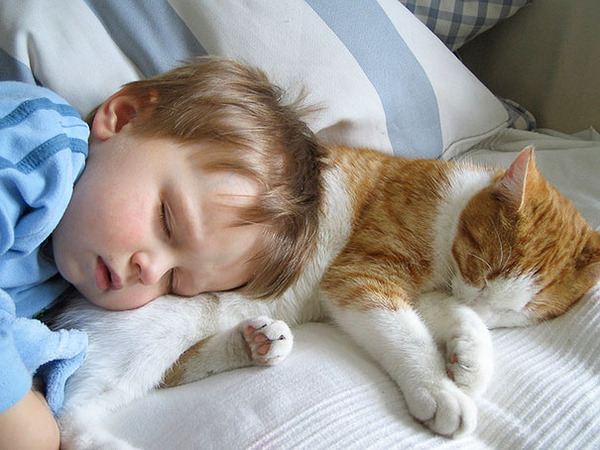 kids and cats together