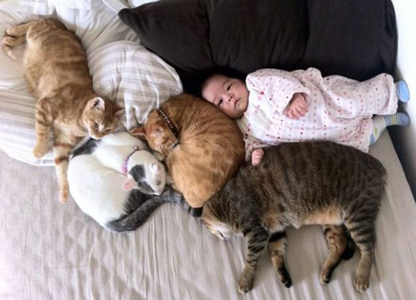 kids and cats together20