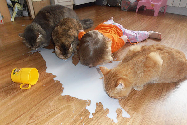 kids and cats together