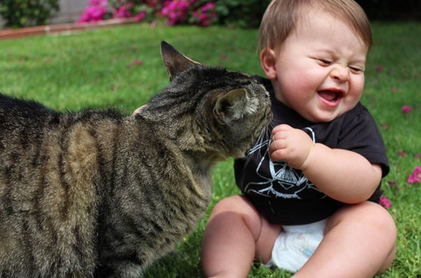 kids and cats together