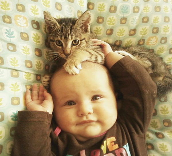 kids and cats together