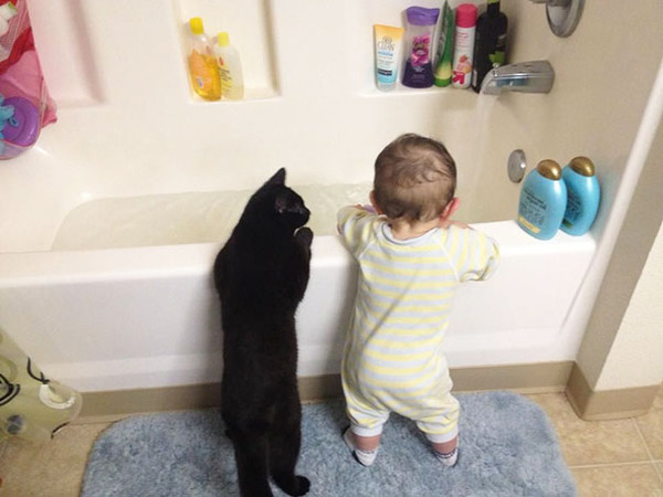 kids and cats together