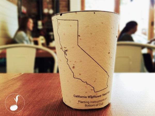 Coffee Cup That Will Actually Help The Environment 