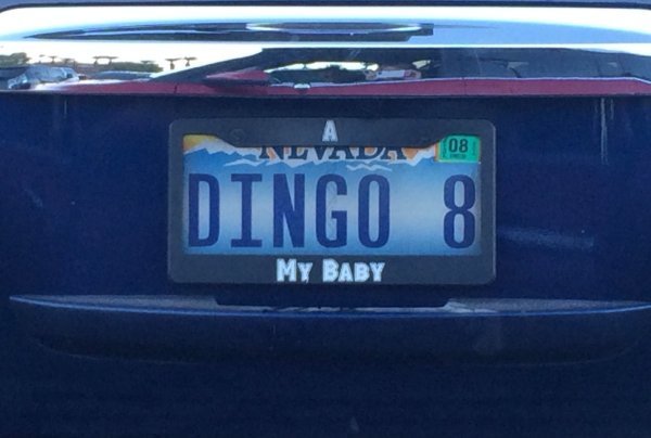 funny license plates