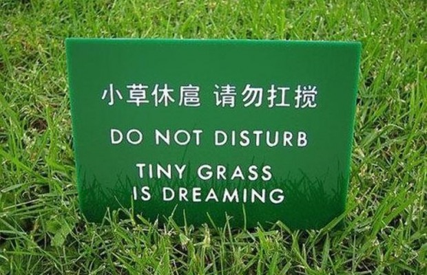 40 Chinese Signs That Got Seriously Lost In Translation