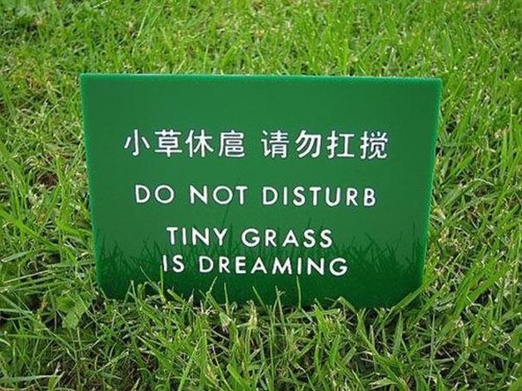 funny Chinese translations20