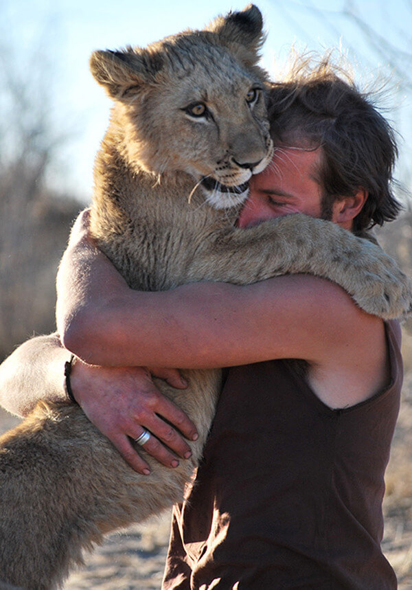 unbelievable reaction of lioness to man who saved her