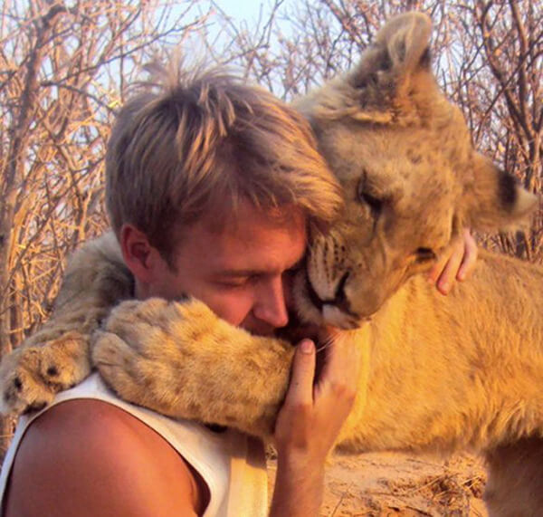 unbelievable reaction of lioness to man who saved her