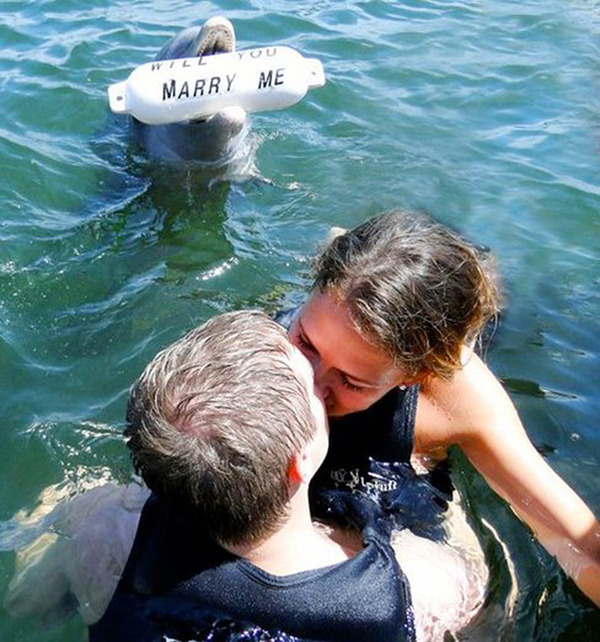 awesome marriage proposals