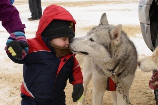 dogs are best friends