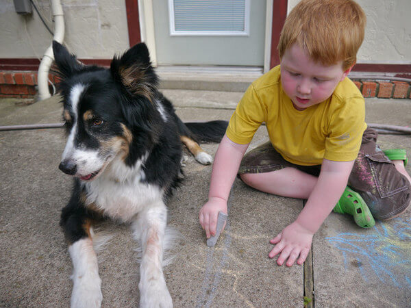 dogs are best friends