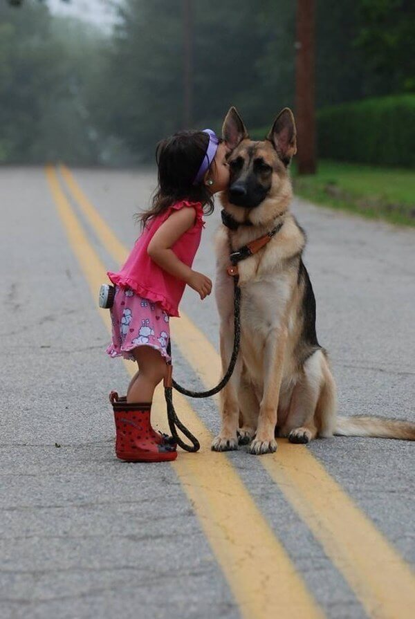 dogs are best friends