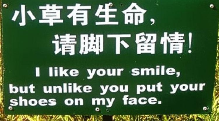 funny Chinese translations10