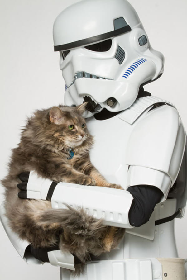 star wars theme photo-shoot with shelter animals