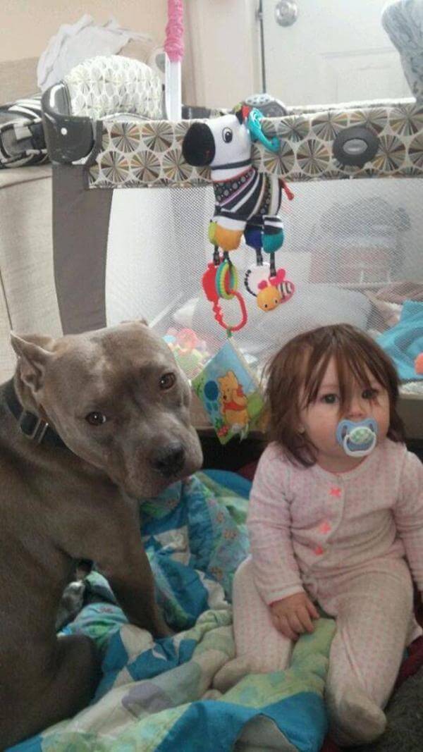 dog and baby bff