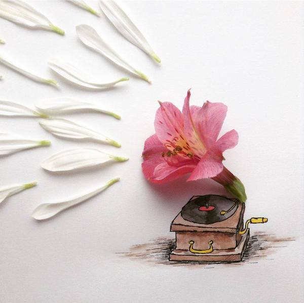illustrations with everyday objects