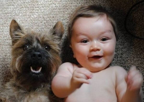 adorable pets and babies