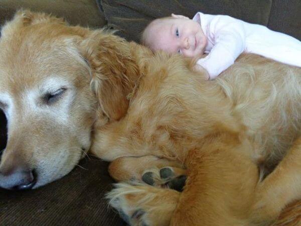 adorable pets and babies