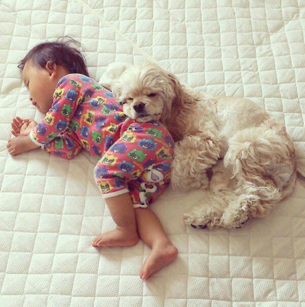 adorable pets and babies