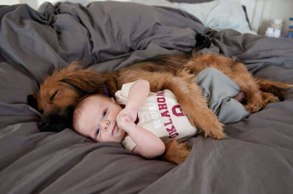 adorable pets and babies