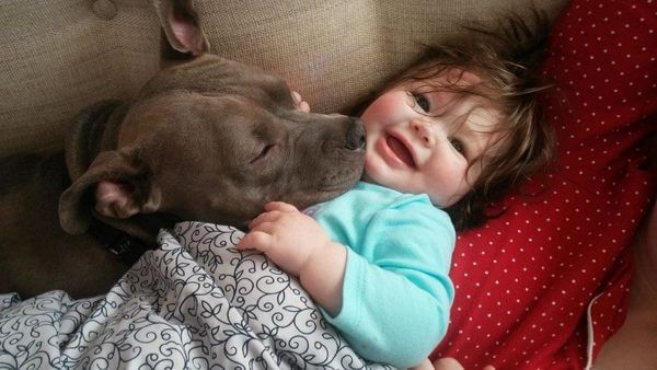 dog and baby bff