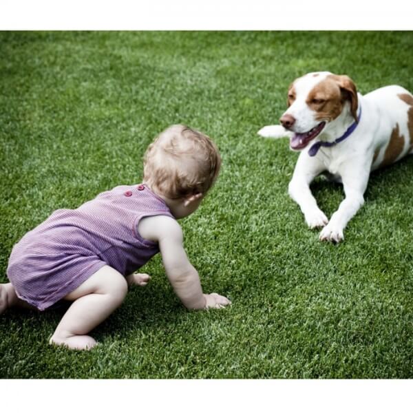 baby-crawling-towards-dog-on-grass_700x700_Getty-173900210