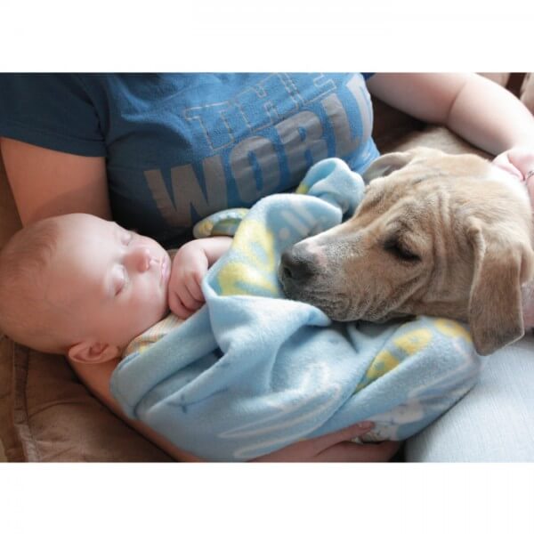 baby-sleeping-with-dog_700x700_Getty-95594507