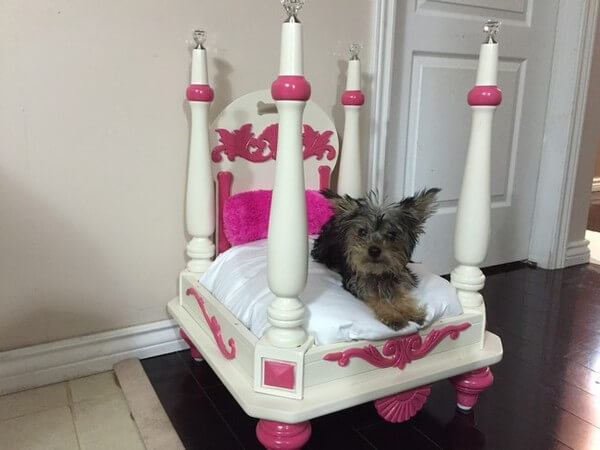 fancy dog bed