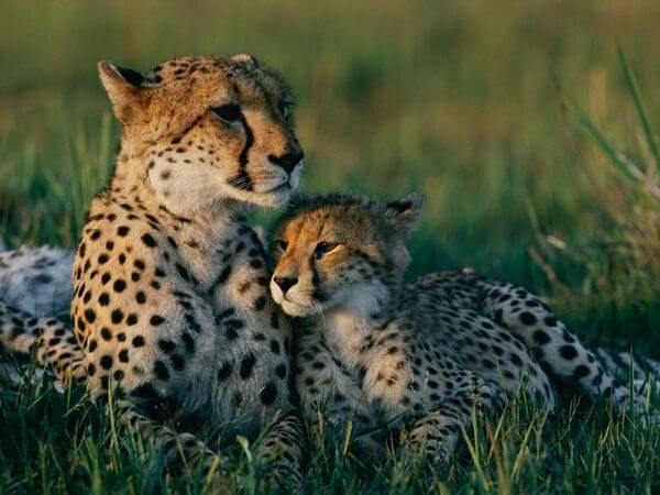 moms of nature 16