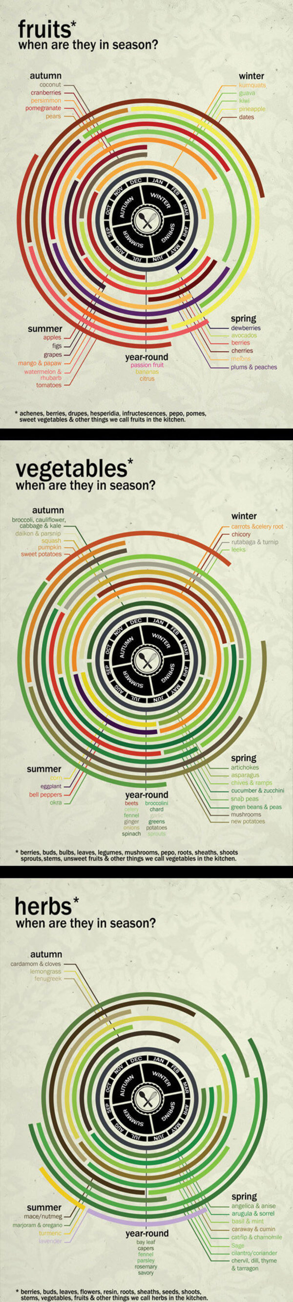 info-graphics for better cooking 28