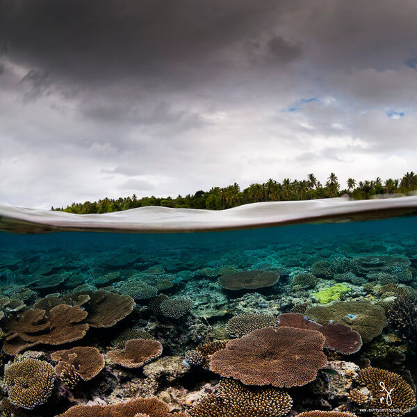 The Best Of Both Worlds - Spectacular Half Submerged Photos By Matty Smith